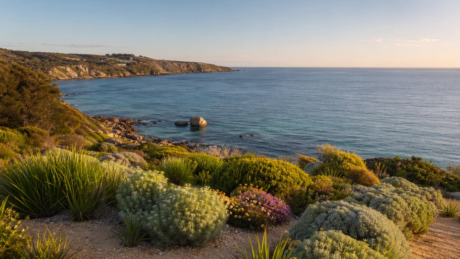 South West Western Australia coastline with coastal native planting